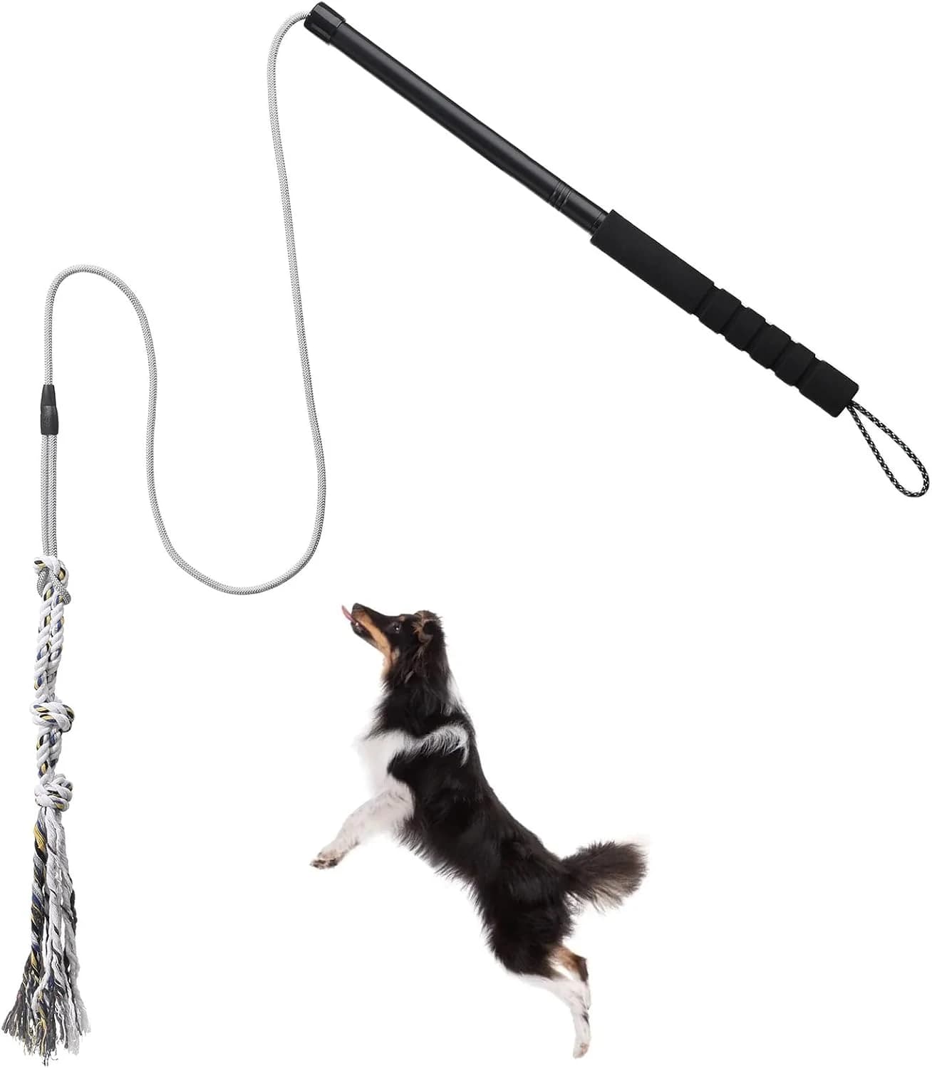 Juguete Interactivo para Perros, Juguete Flirt Stick para Perros pequeños y medianos, Juguetes de Exterior Resistentes para entretener, Entrenar y Hacer Ejercicio