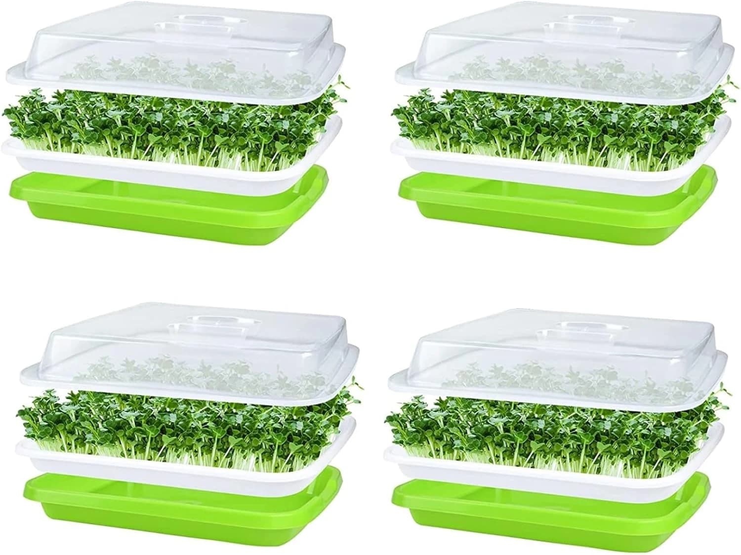 KAHEIGN 4 Piezas Bandejas para Brotes de Semillas con Tapa, 32CM x 26CM Bandeja de Germinación de Gran Capacidad Propagador Hidropónico Saludable Sin BPA con 24 Papeles para Plantar para Cultivar