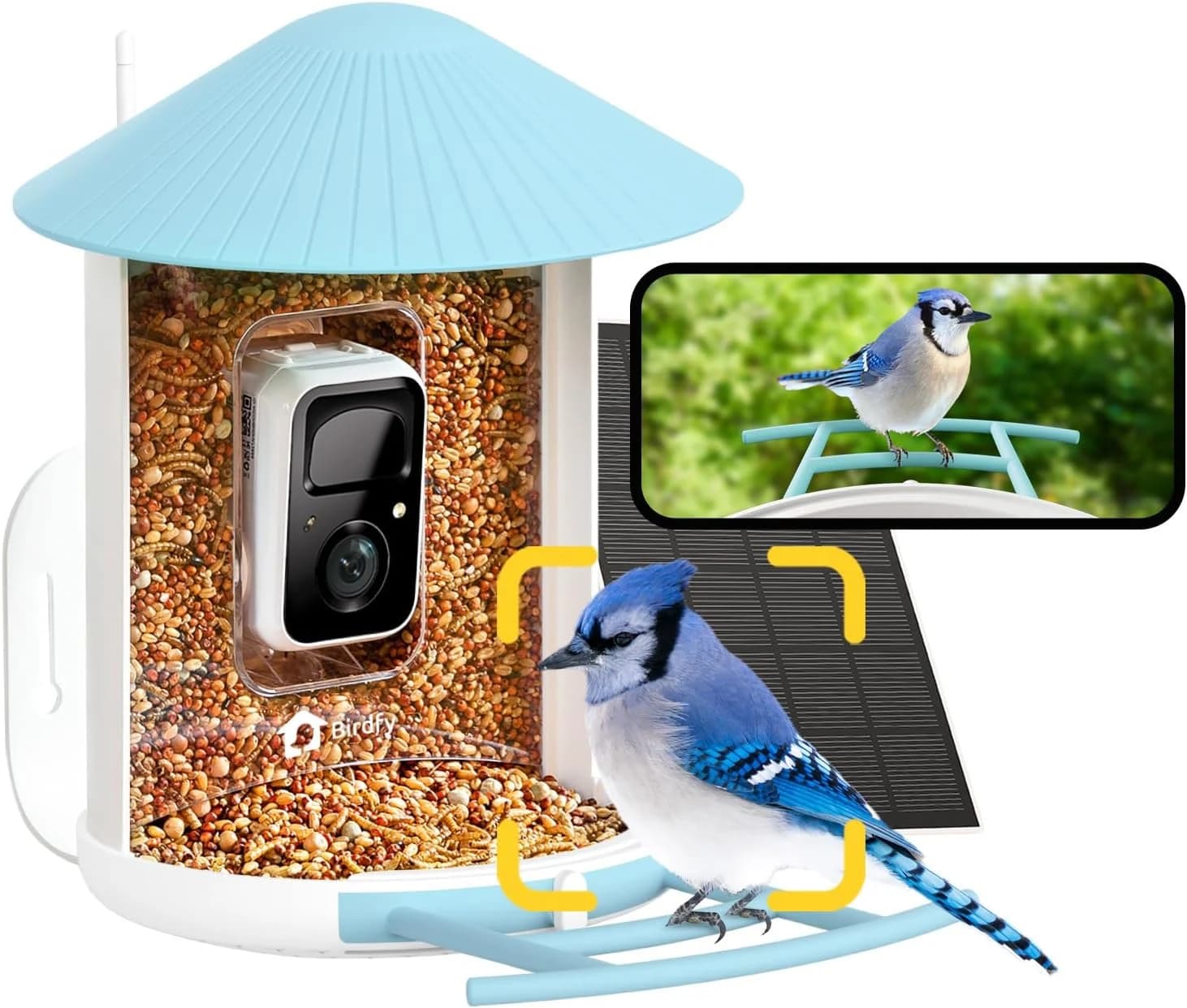 NETVUE by Birdfy Comedero Pajaros Camara, Comedero Pajaros Exterior, Comedero Aves Cámara WiFi con Batería & Solar Panel, Notificación Instantánea, Captura Automática de Imagen/Video